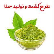 طرح کشت و تولید حنا