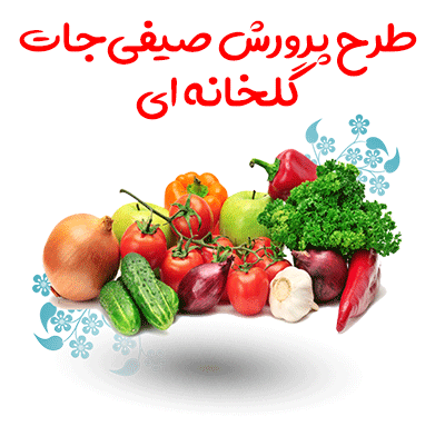 طرح پرورش صیفی جات گلخانه ای