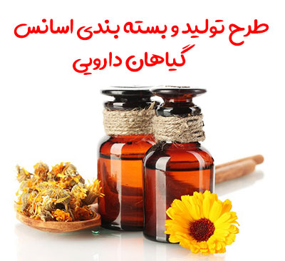 طرح تولید و بسته بندی اسانس گیاهان دارویی